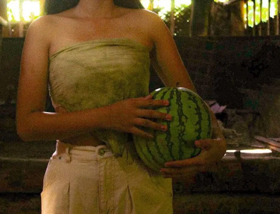 Woman with Watermelon Cropped - Close-up of woman holding watermelon